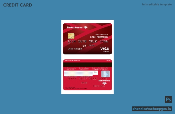 USA Bank of America Visa Signature Card – Beispielvorschau